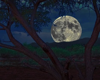 Mark 004 4536+38 8x10+3+MoonFlatCOPY.jpg